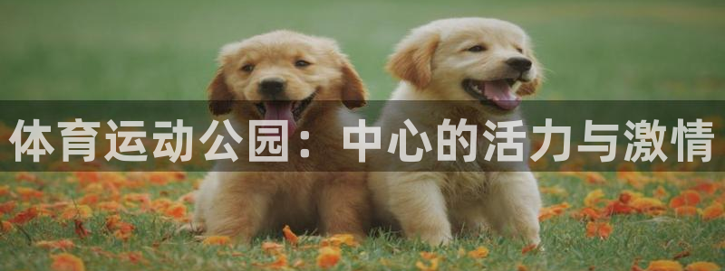 oety欧亿体育官网下载招商电话