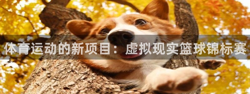 欧亿体育官方正版app神州：体育运动的新项目：虚拟现