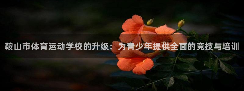 欧亿体育官方正版app集团logo：鞍山市体育运动学校的升级