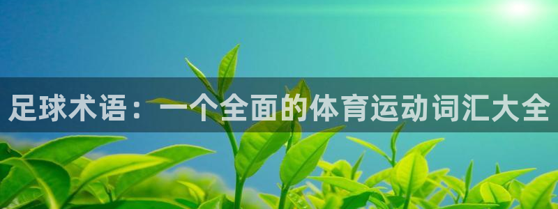 oety欧亿体育官网下载招商电话号码是多少号：足球术语：一个