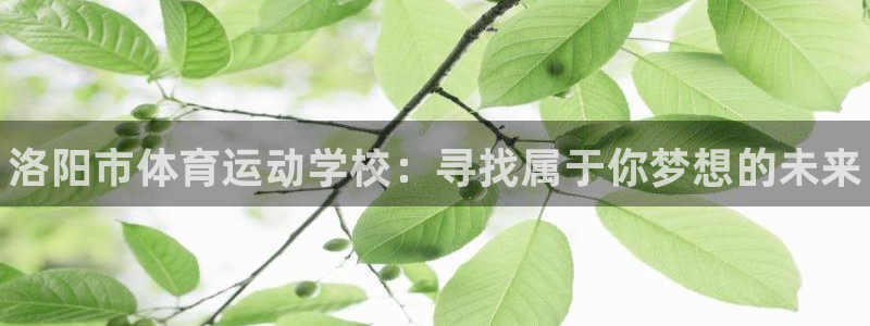 欧亿体育官方集团官网：洛阳市体育运动学校：寻找属于你