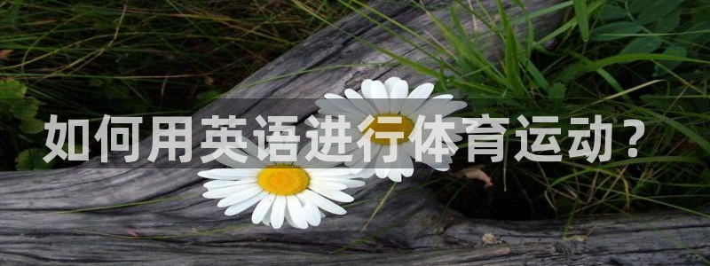 欧亿体育官方正版app代理