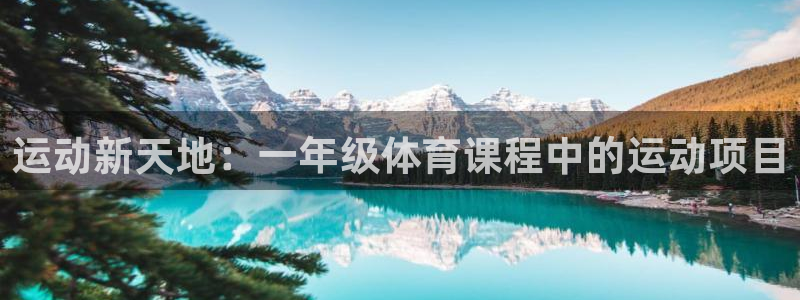 oety欧亿体育官网下载是干嘛的公司：运动新天地：一年级体育