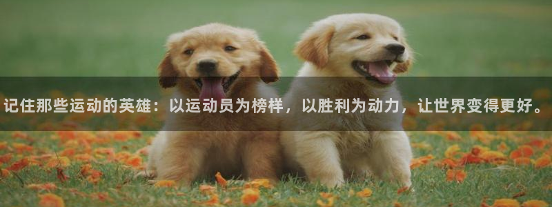 欧亿体育官方正版app集团官网首页网址：记住那些运动的英雄：