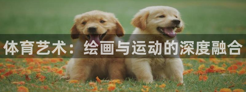 oety欧亿体育官网下载平台注册：体育艺术：绘画与运