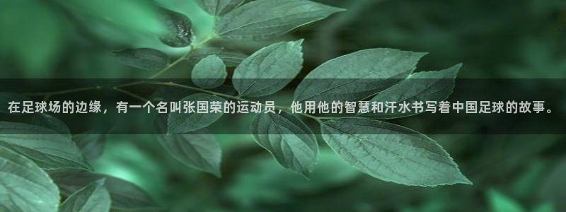 欧亿体育官方正版app集团官网网址：在足球场的边缘，有一个名