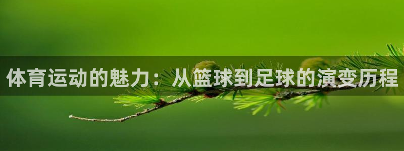 欧亿体育官方正版app娱乐平台